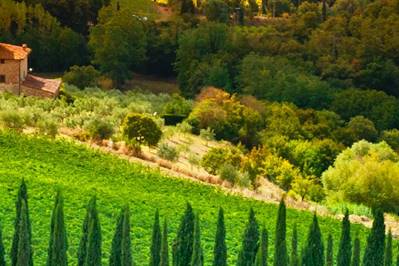 Two Recommended Wine Estates near Catania